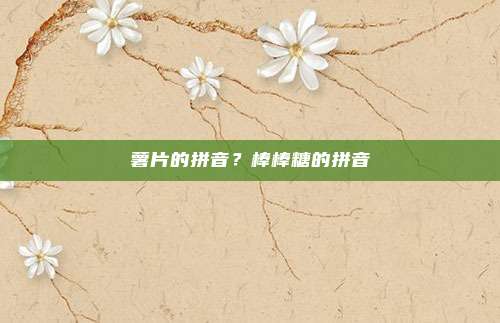 薯片的拼音?棒棒糖的拼音
