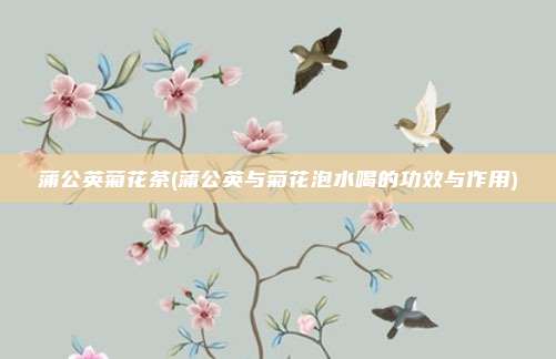 蒲公英菊花茶(蒲公英与菊花泡水喝的功效与作用)