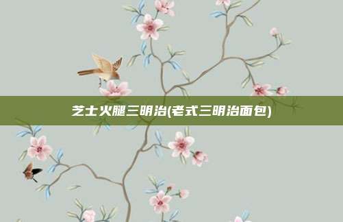 芝士火腿三明治(老式三明治面包)