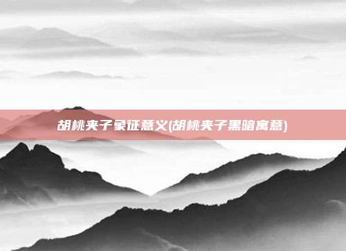 胡桃夹子象征意义(胡桃夹子黑暗寓意)
