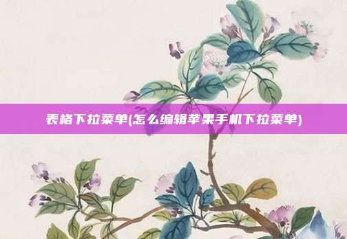 表格下拉菜单(怎么编辑苹果手机下拉菜单)
