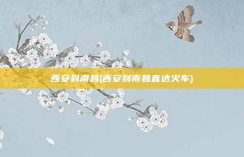 西安到南昌(西安到南昌直达火车)