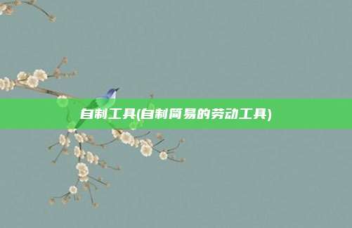 自制工具(自制简易的劳动工具)