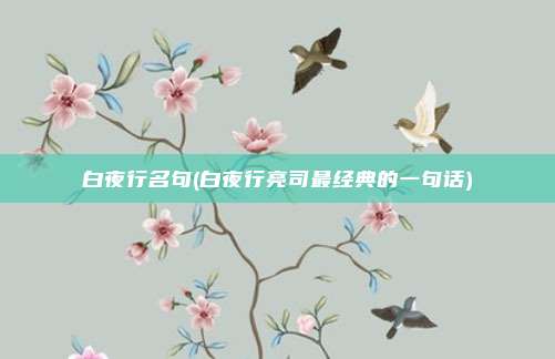 白夜行名句(白夜行亮司最经典的一句话)