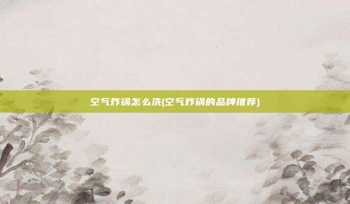 空气炸锅怎么洗(空气炸锅的品牌推荐)