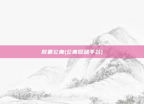 胶囊公寓(公寓短租平台)