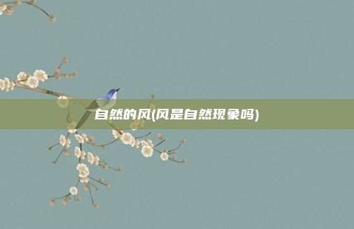 自然的风(风是自然现象吗)