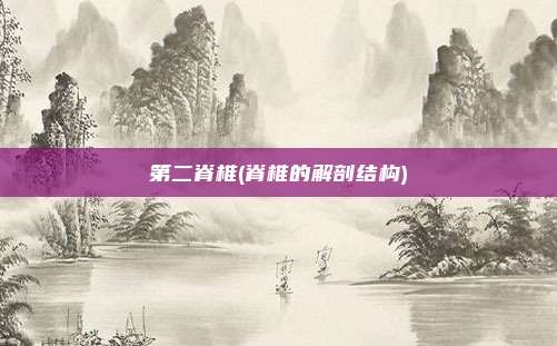 第二脊椎(脊椎的解剖结构)