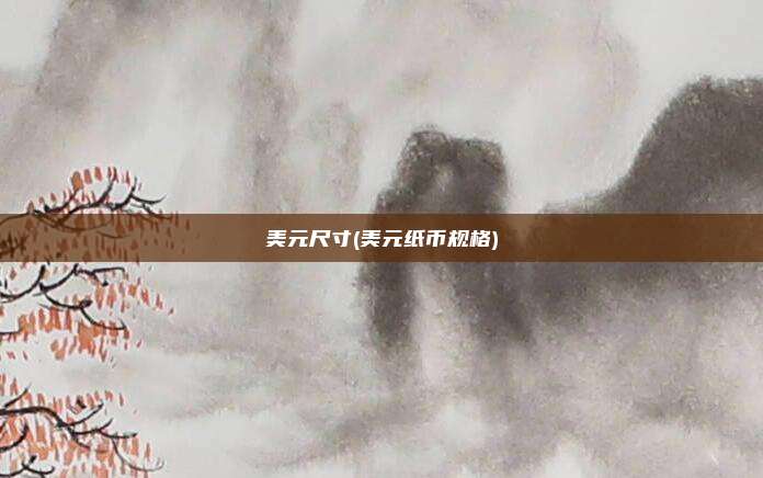 美元尺寸(美元纸币规格)