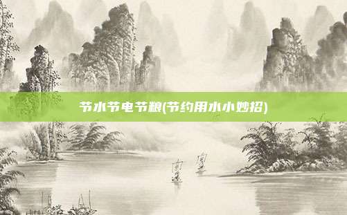 节水节电节粮(节约用水小妙招)