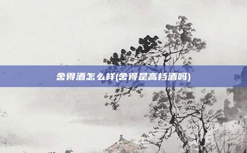 舍得酒怎么样(舍得是高档酒吗)