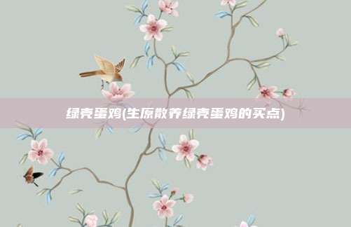 绿壳蛋鸡(生原散养绿壳蛋鸡的买点)