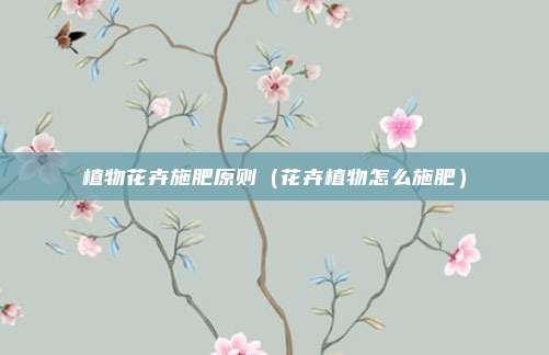 植物花卉施肥原则(花卉植物怎么施肥)