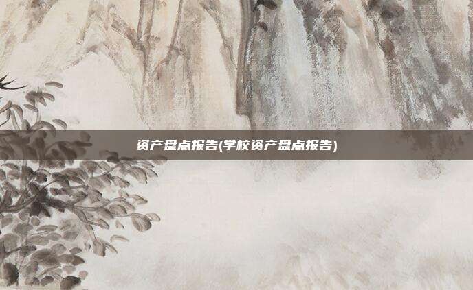 资产盘点报告(学校资产盘点报告)