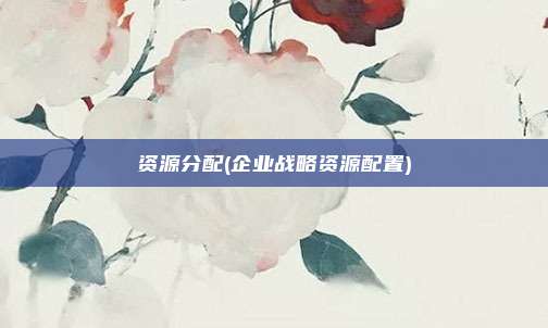 资源分配(企业战略资源配置)