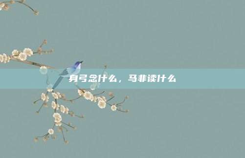 身弓念什么,马非读什么