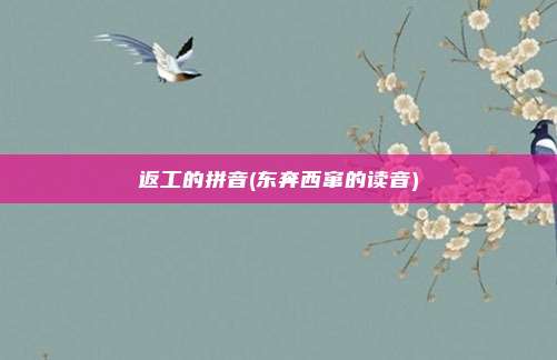 返工的拼音(东奔西窜的读音)