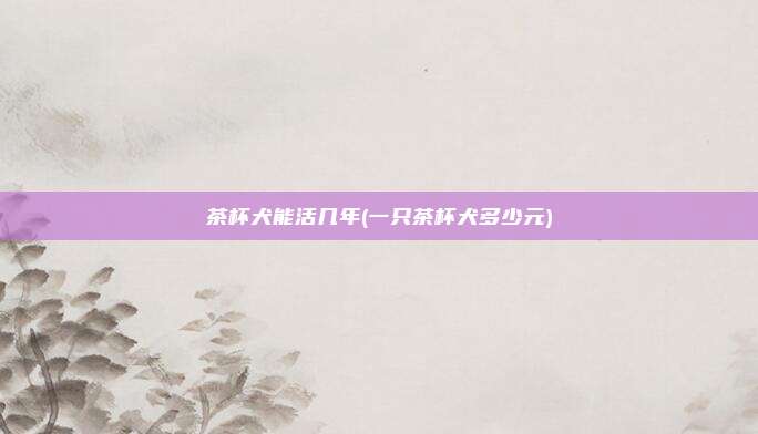 茶杯犬能活几年(一只茶杯犬多少元)