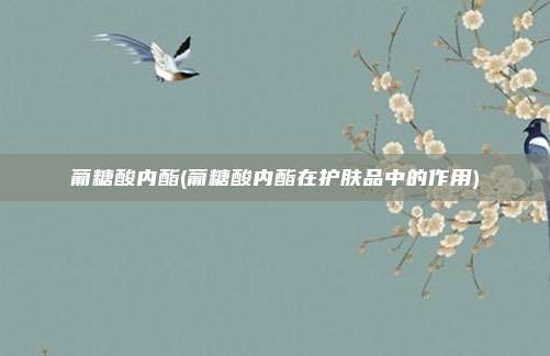 葡糖酸内酯(葡糖酸内酯在护肤品中的作用)