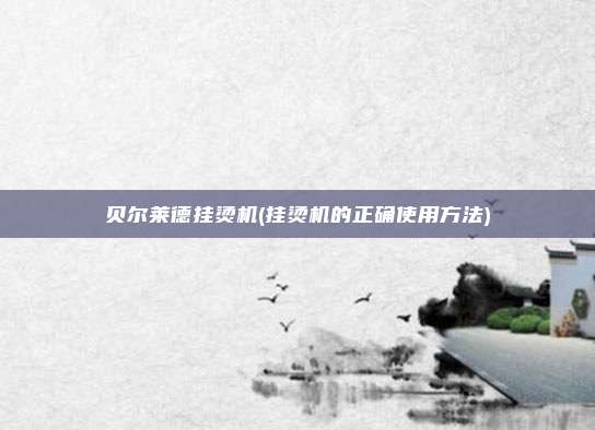 贝尔莱德挂烫机(挂烫机的正确使用方法)