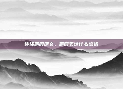 诗经蒹葭原文,蒹葭表达什么感情