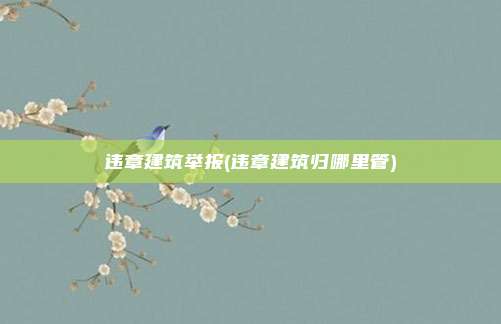 违章建筑举报(违章建筑归哪里管)