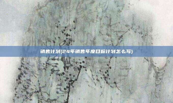 销售计划(24年销售年度目标计划怎么写)