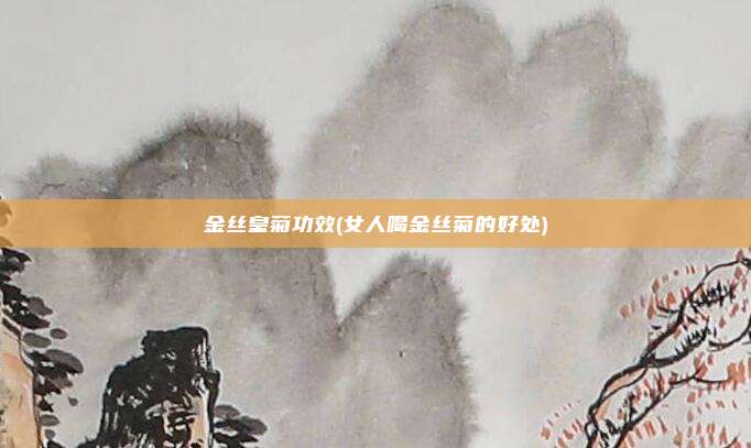 金丝皇菊功效(女人喝金丝菊的好处)