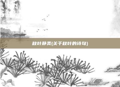 秋叶静美(关于秋叶的诗句)