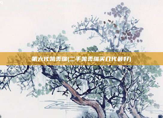 第六代凯美瑞(二手凯美瑞买几代最好)