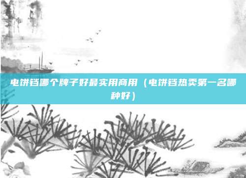 电饼铛哪个牌子好最实用商用(电饼铛热卖第一名哪种好)