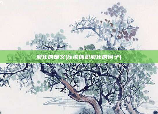 液化的定义(压缩体积液化的例子)