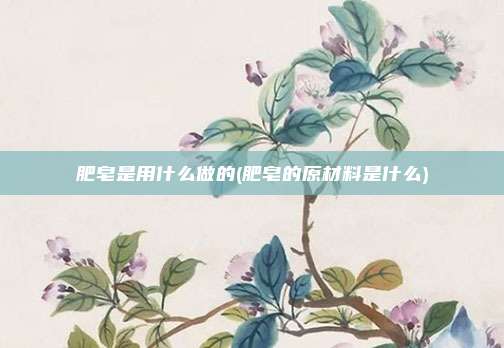 肥皂是用什么做的(肥皂的原材料是什么)