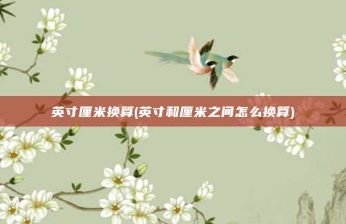英寸厘米换算(英寸和厘米之间怎么换算)