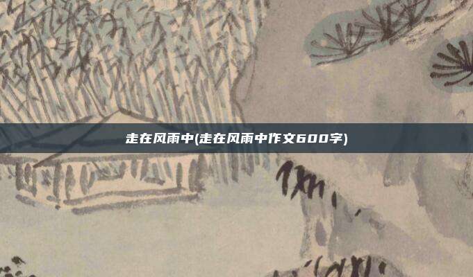 走在风雨中(走在风雨中作文600字)