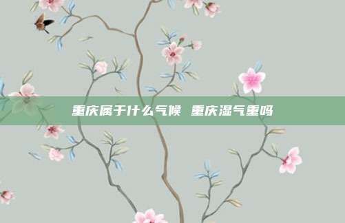 重庆属于什么气候 重庆湿气重吗