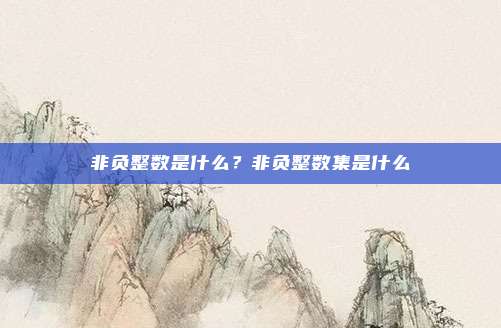 非负整数是什么？非负整数集是什么