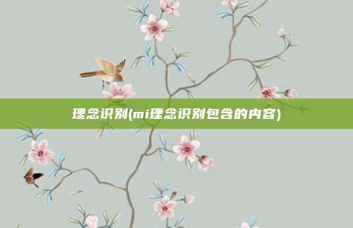 理念识别(mi理念识别包含的内容)