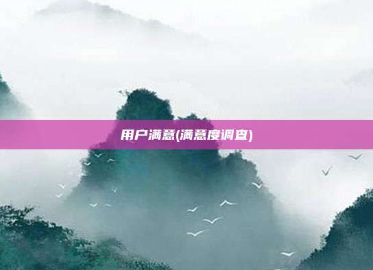 用户满意(满意度调查)