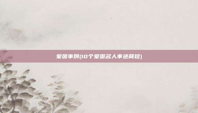 爱国事例(10个爱国名人事迹简短)