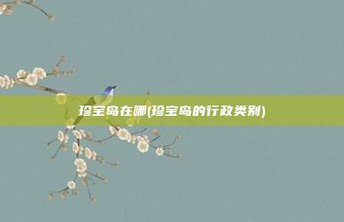 珍宝岛在哪(珍宝岛的行政类别)