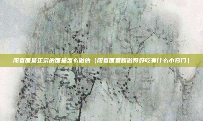 阳春面最正宗的面是怎么做的(阳春面要想做得好吃有什么小窍门)
