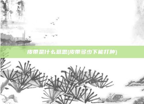 皮带是什么意思(皮带多少下能打肿)