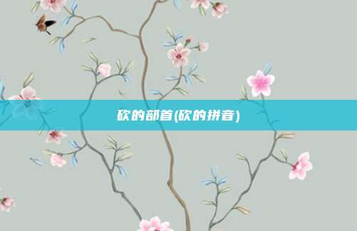 砍的部首(砍的拼音)