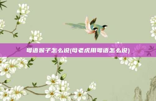 粤语猴子怎么说(母老虎用粤语怎么说)