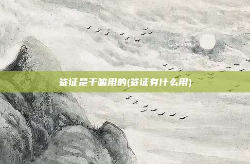 签证是干嘛用的(签证有什么用)