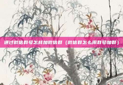 通过微信群号怎样加微信群（微信群怎么用群号加群）