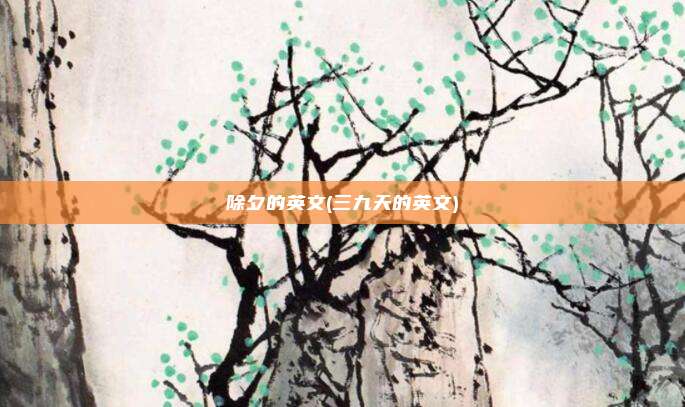 除夕的英文(三九天的英文)