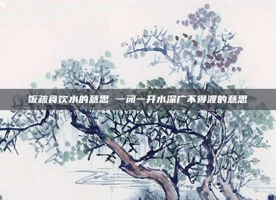 饭疏食饮水的意思 一闭一开水深广不得渡的意思