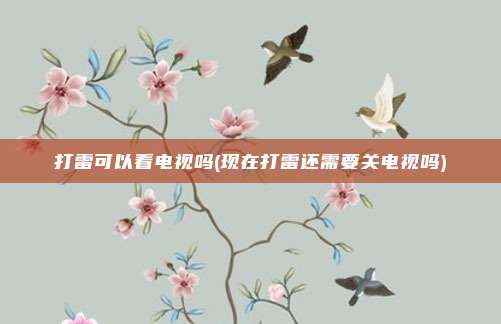 打雷可以看电视吗(现在打雷还需要关电视吗)